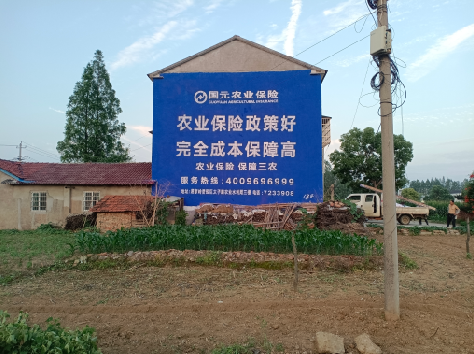 定边墙体广告为何受追捧?